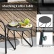 3 Piece Outdoor Bistro Set Patio Metal Chair and Coffee Table Set