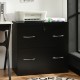 2-Drawer File Cabinet with Lock Hinging Bar Letter and Legal Size
