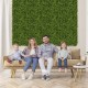 12 Pieces 20 Inch x 20 Inch Artificial Hedge Boxwood Panel