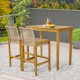 Set of 2 Rattan Patio Wood Barstools Dining Chairs with Backrest