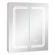 2 Doors Bathroom Mirror Medicine Wall Cabinet with Lights