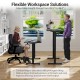 48 Inch x 24 Inch Ergonomic Electric Standing Desk with 3 Memory Settings for Home Office