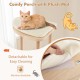 Wooden Multi-level Modern Cat Tower with Scratching Board and Post