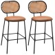 29.5 Inch Modern Faux Leather Bar Stools with Imitation Rattan Woven Backrest