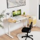 55 x 28 Inch Electric Adjustable Sit to Stand Desk with USB Port