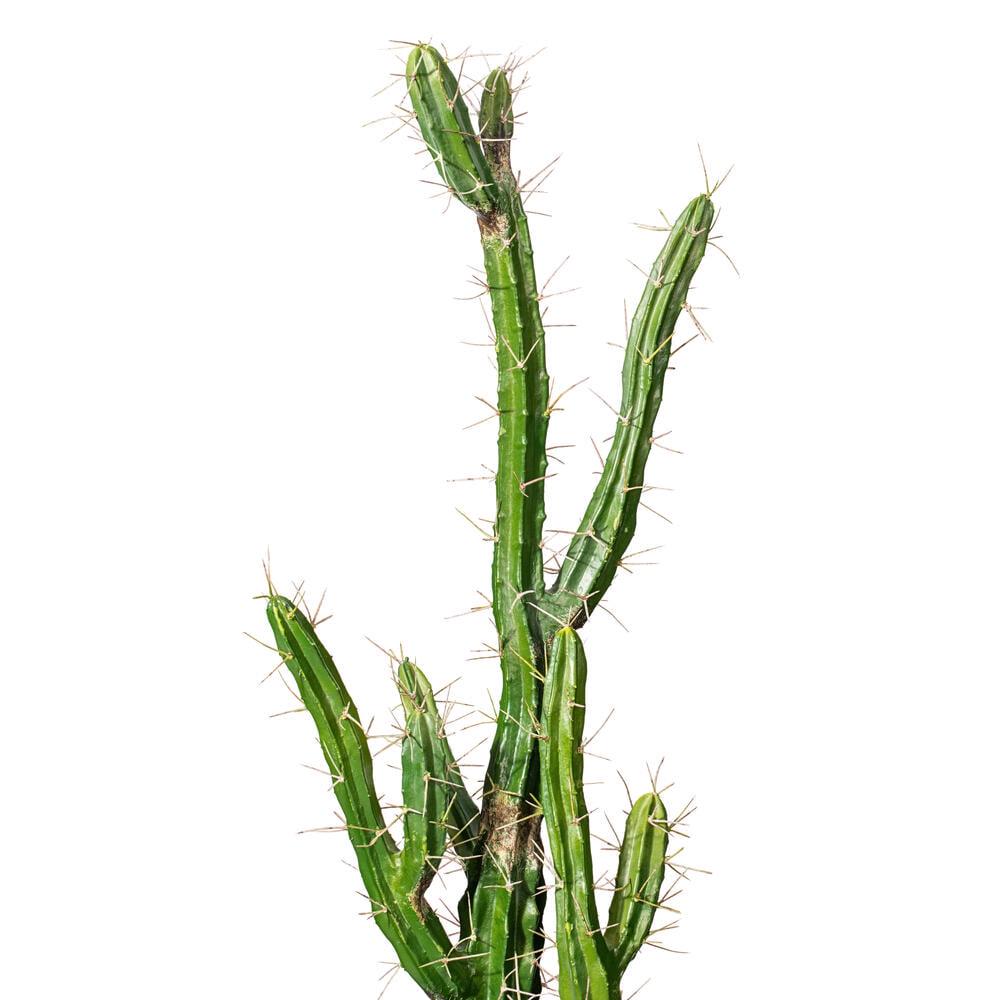 Vickerman 46′′ Artificial Green Cactus in Black Plastic Pot, Decorative Succulent Plant