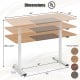 55 Inch Electric Standing Desk Adjustable with Cable Management Hole