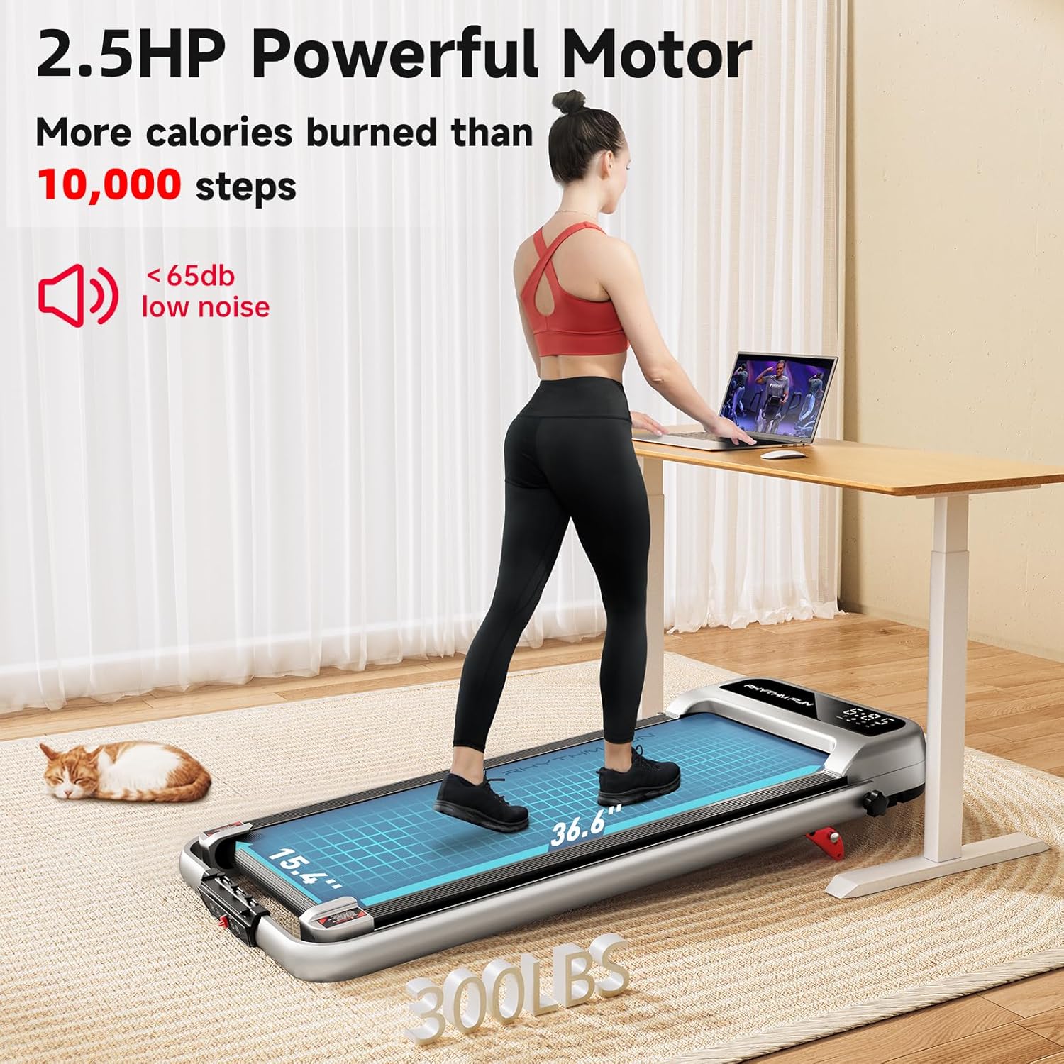RHYTHM FUN CP01 Foldable Treadmill with Incline
