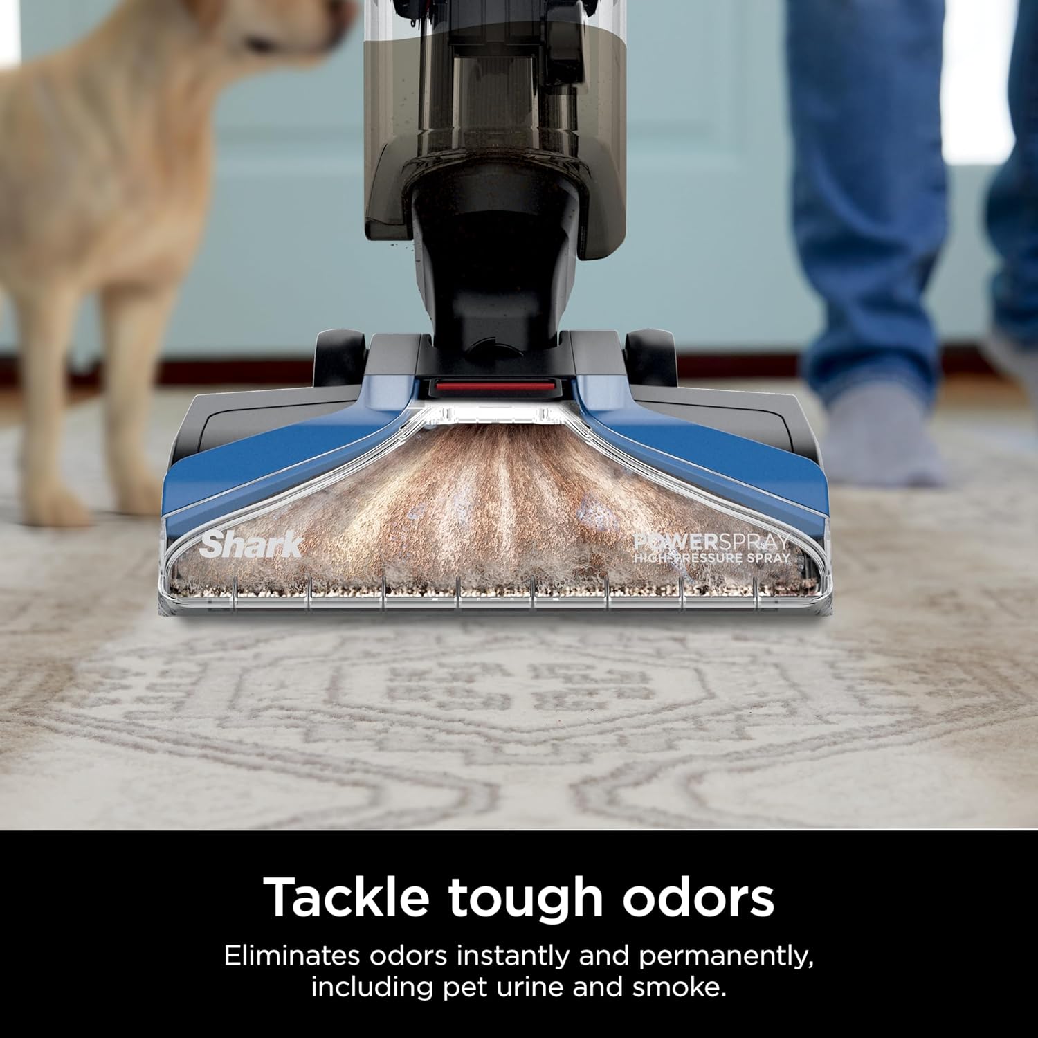 Upright Carpet, Area Rug & Upholstery Cleaner with StainStriker, Built-in Spot & Stain Cleaner, Perfect for Pets, Deep Cleaning & Tough Stain Removal, Carpet Shampooer, Cyan