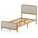 Upholstered Gold Platform Bed Frame with Velvet Headboard