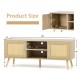 PE Rattan Media Console Table with 2 Cabinets