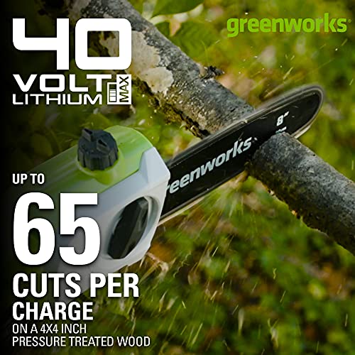 Greenworks 40V Cordless Polesaw & Pole Hedge Trimmer Combo, 8′′ Bar, 20′′ Blade, Dual Action, Automatic Oiler