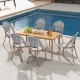 French Bistro Chair Set of 2 with Galvanized Metal Framex