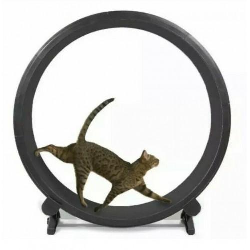 One Fast Cat Exercise Wheel – Black, New In Box, Pet Fitness Toy