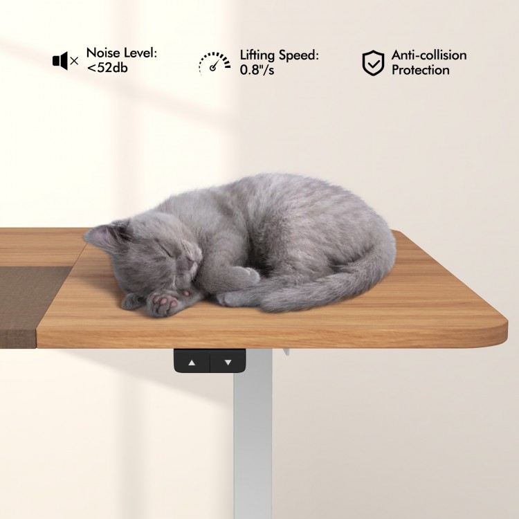 55 Inch Electric Standing Desk Adjustable with Cable Management Hole