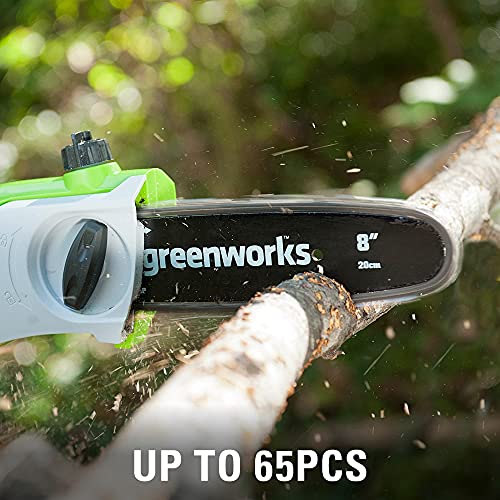 Greenworks 40V Cordless Polesaw & Pole Hedge Trimmer Combo, 8′′ Bar, 20′′ Blade, Dual Action, Automatic Oiler