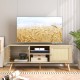 PE Rattan Media Console Table with 2 Cabinets