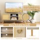 PE Rattan Media Console Table with 2 Cabinets