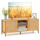 Boho TV Stand for TV up to 55 Inches with Faux Rattan Door