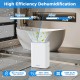 Dehumidifier with Auto Drain or Manual Drainage for Home Basement