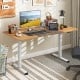 55 Inch Electric Standing Desk Adjustable with Cable Management Hole