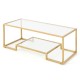 Modern 2-Tier Rectangular Coffee Table with Glass Table Top