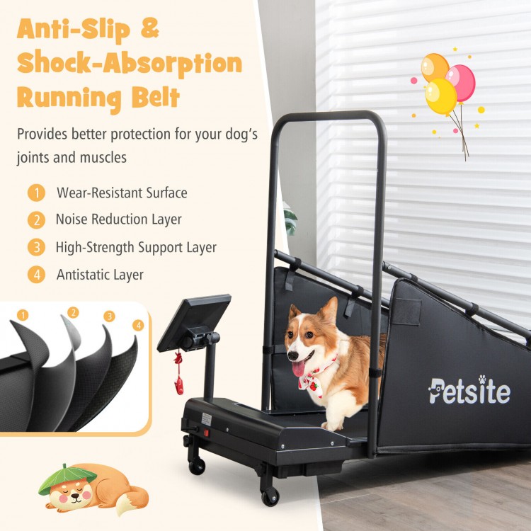 Pet Exercise Equipment with Remote Control