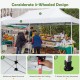 10 x 20 Ft Outdoor Pop-Up Patio Folding Canopy Tent with ONE-BUTTON SETUP