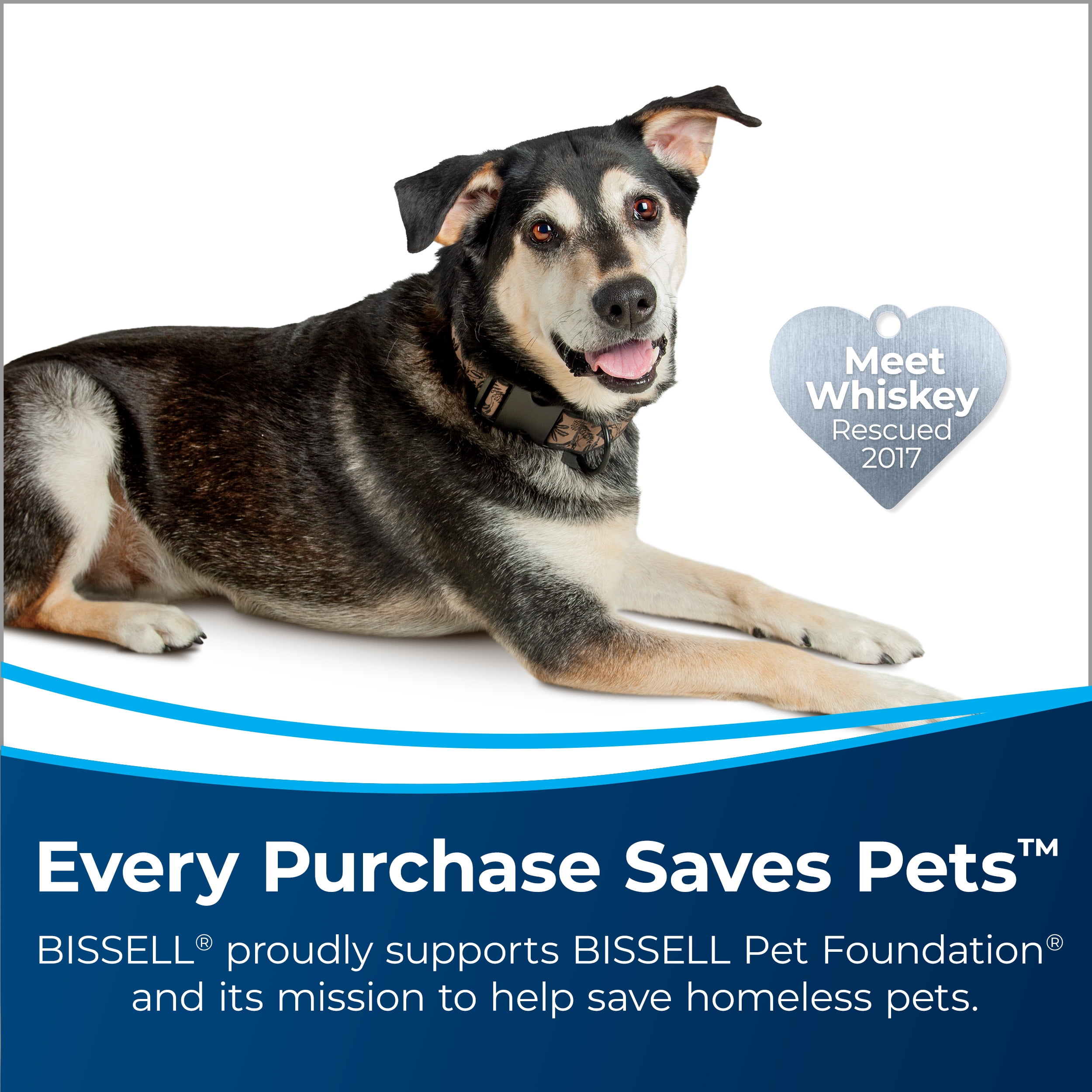 BISSELL PowerForce PowerBrush Pet Lightweight Carpet Cleaner, DeepReach, Two-Tank System, Ideal for Pet Stains