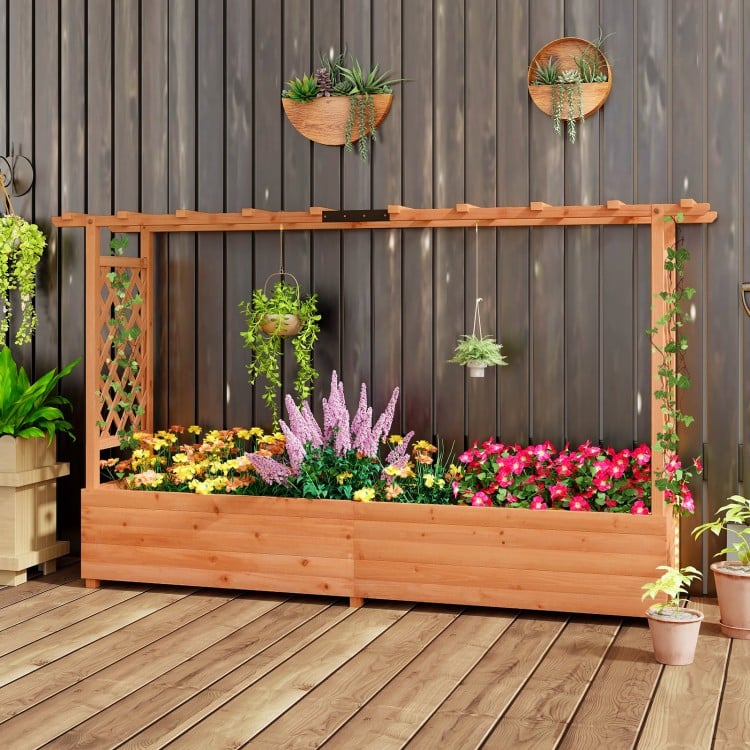 Raised Garden Bed with Side Trellis Hanging Roof and Planter Box