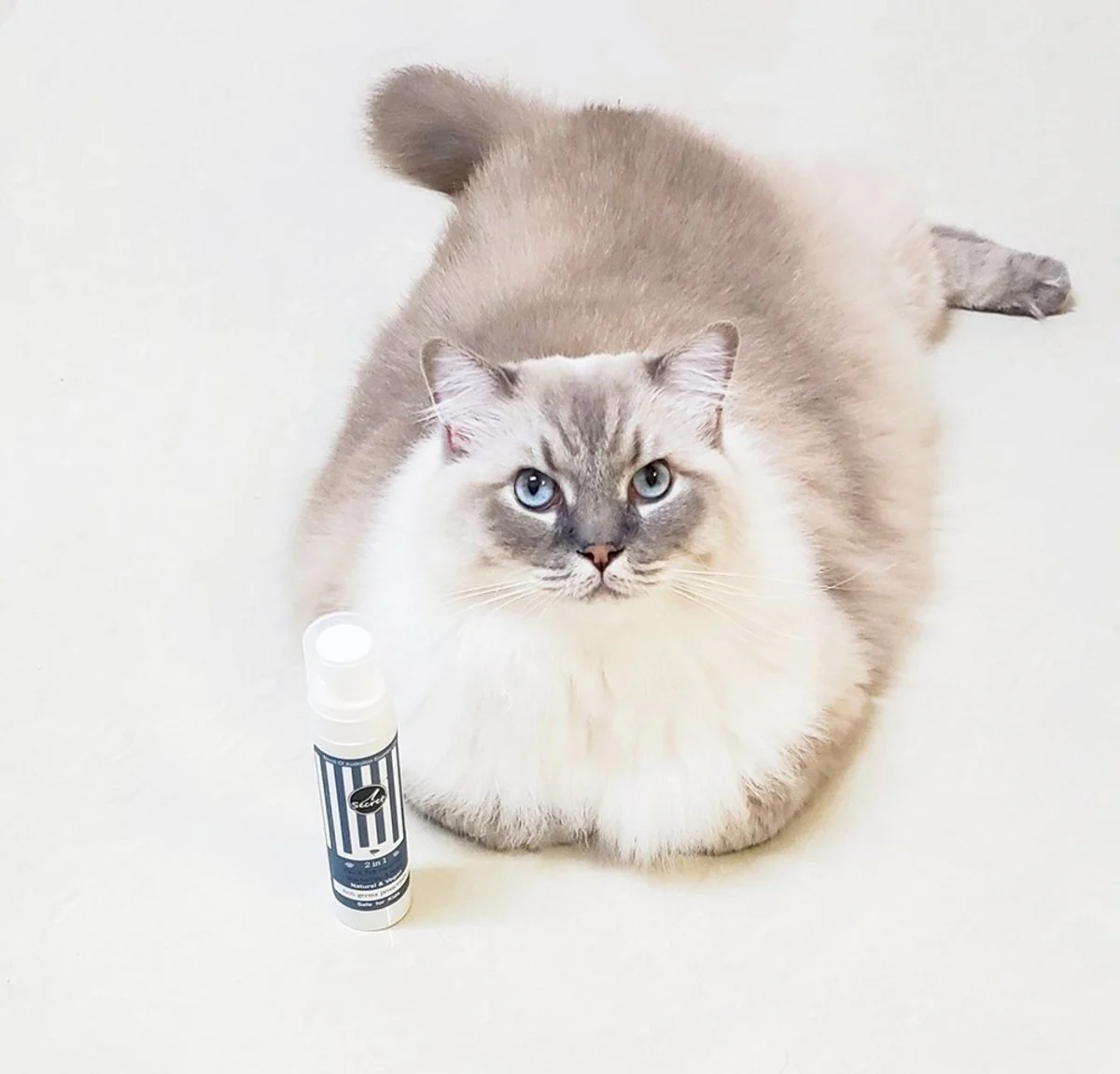 iSecret - 2 in 1 寵物家居 苦楝�?防蚤防床蝨抗菌草本噴�?100ml