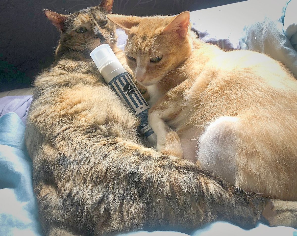 iSecret - 2 in 1 寵物家居 苦楝�?防蚤防床蝨抗菌草本噴�?100ml