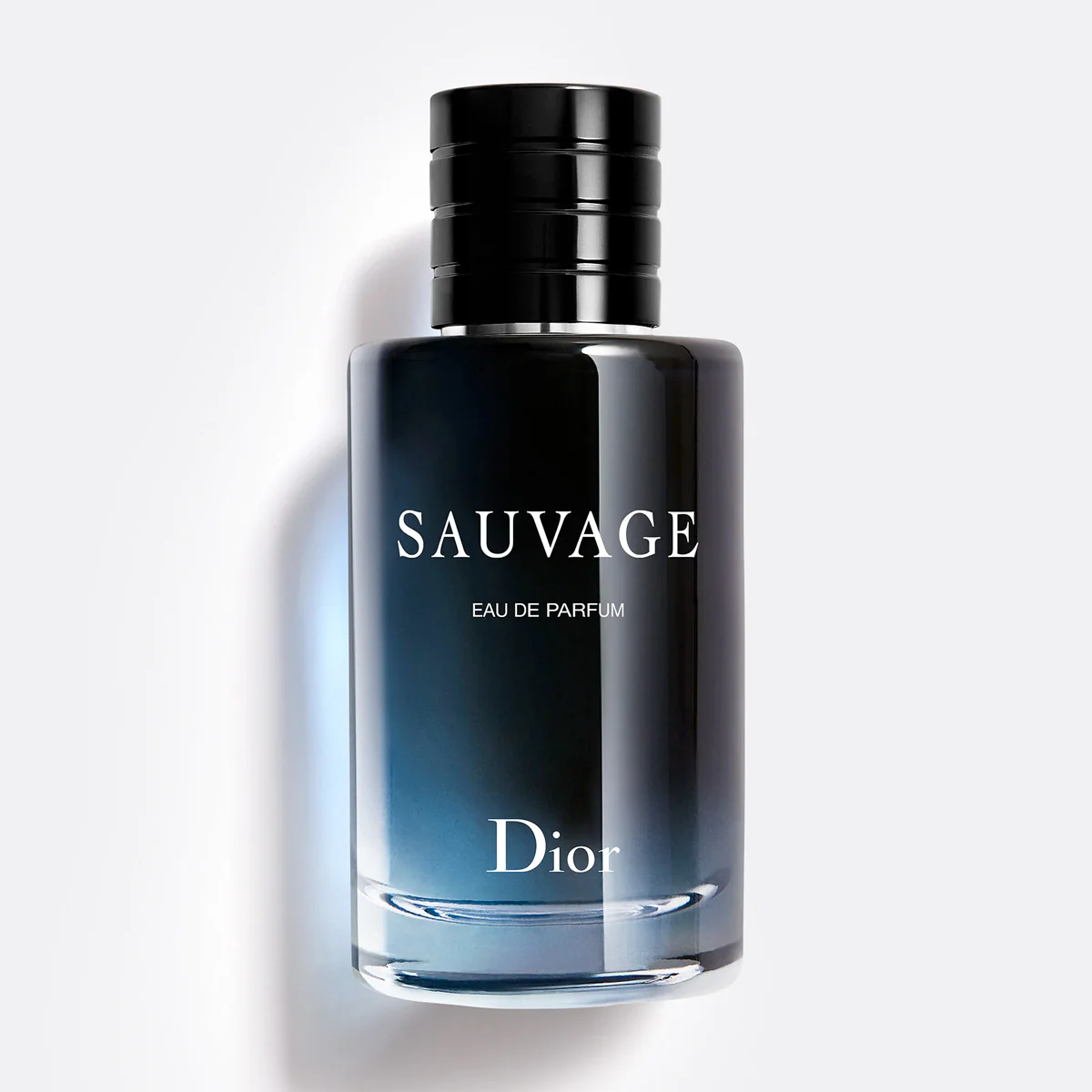 Christian Dior - �Aӆ��Sauvage EDP ��Ұ��ʿ���㾫 100ml - ƽ���M��