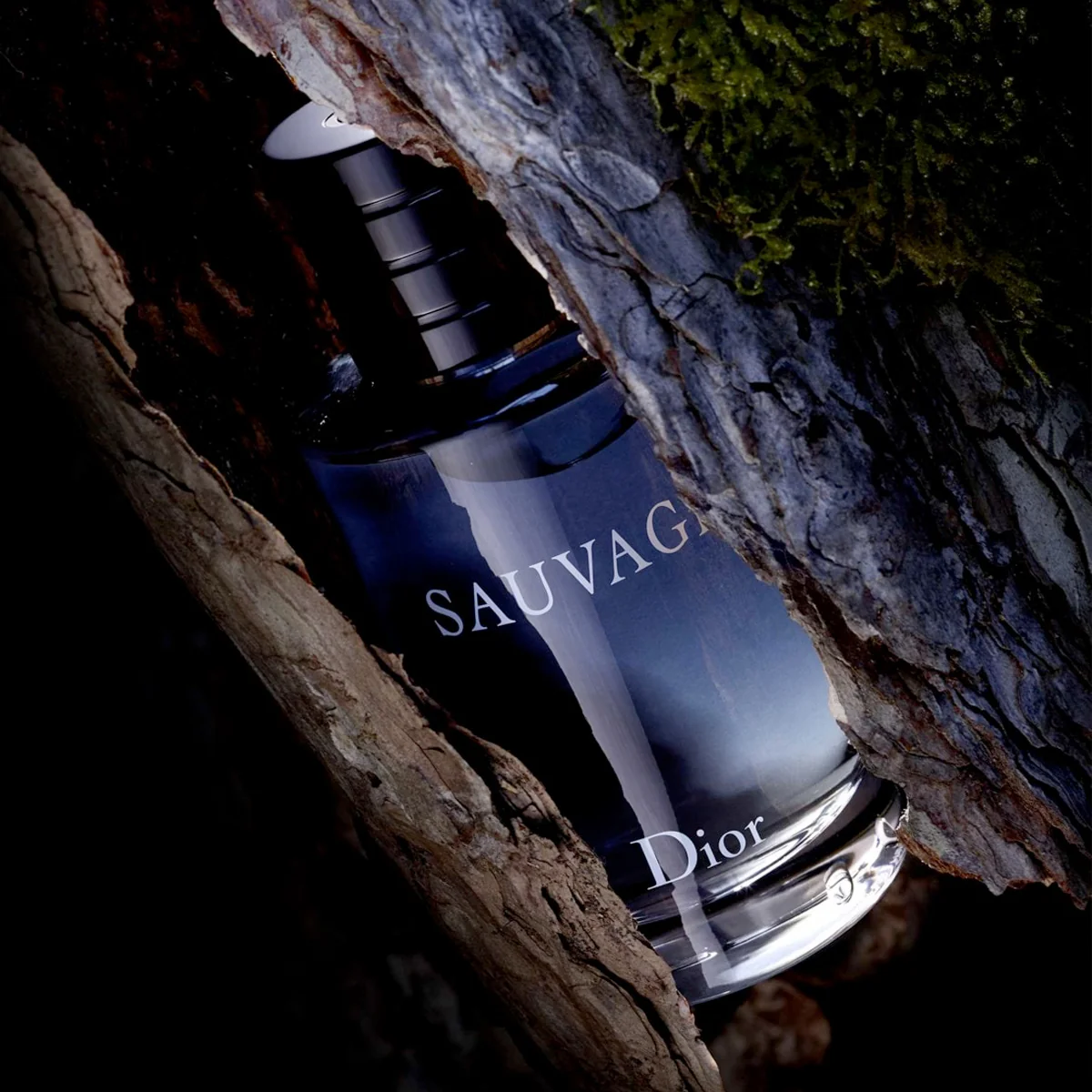 Christian Dior - �Aӆ��Sauvage EDT ��Ұ��ʿ����ˮ 100ml - ƽ���M��