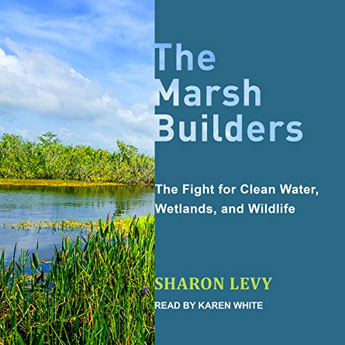 The Marsh Builders - Audibledeals