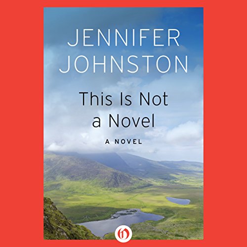This Is Not a Novel: A Novel - Audibledeals