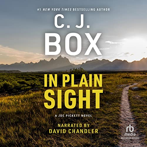 In Plain Sight - Audibledeals