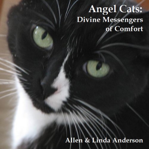 Angel Cats - Audibledeals