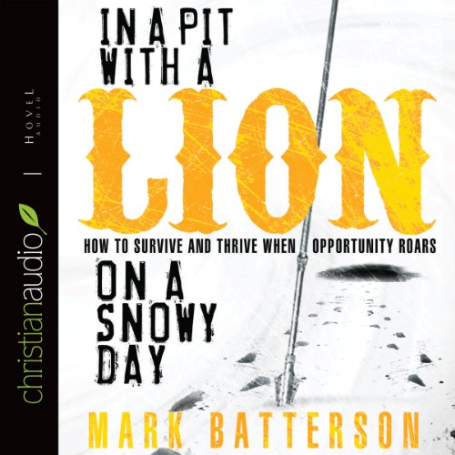 In a Pit with a Lion on a Snowy Day - Audibledeals