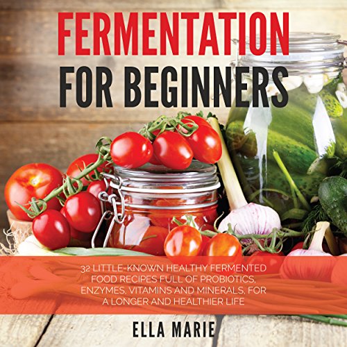 Fermentation for Beginners - Audibledeals