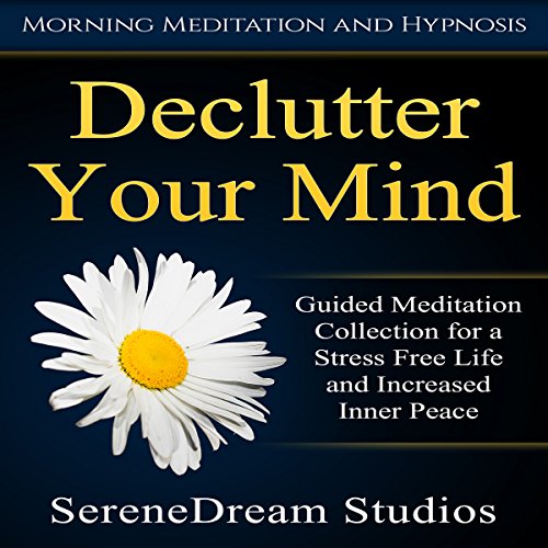 Declutter Your Mind - Audibledeals