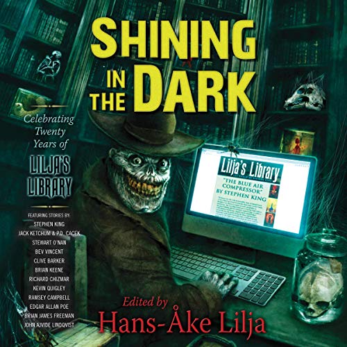 Shining in the Dark - Audibledeals