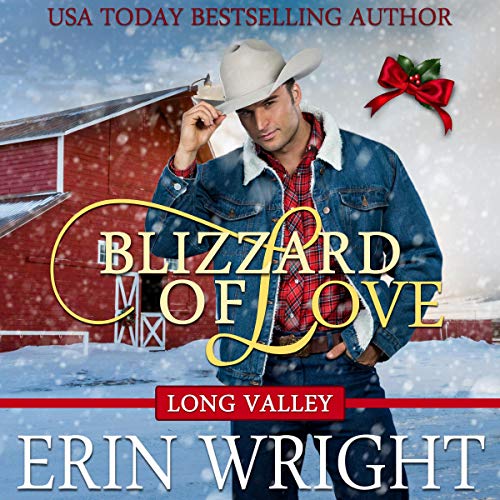 Blizzard of Love - Audibledeals