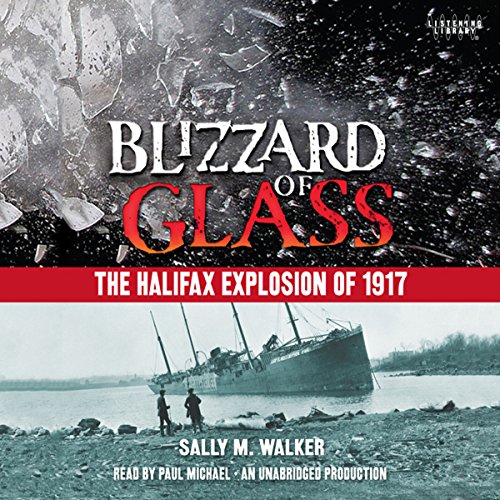 Blizzard of Glass - Audibledeals