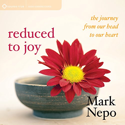 Reduced to Joy - Audibledeals