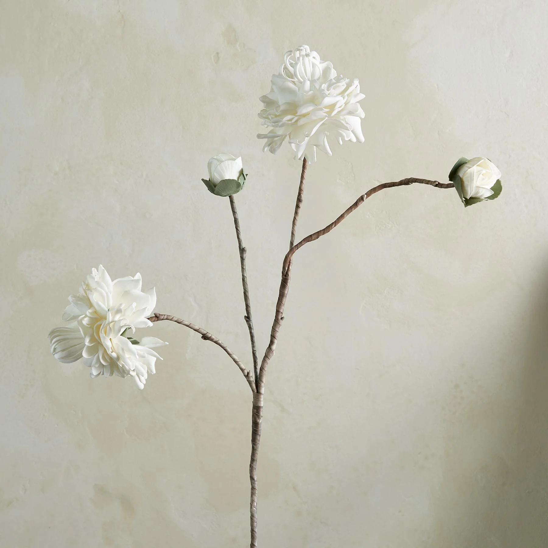 Bountiful Botanicals