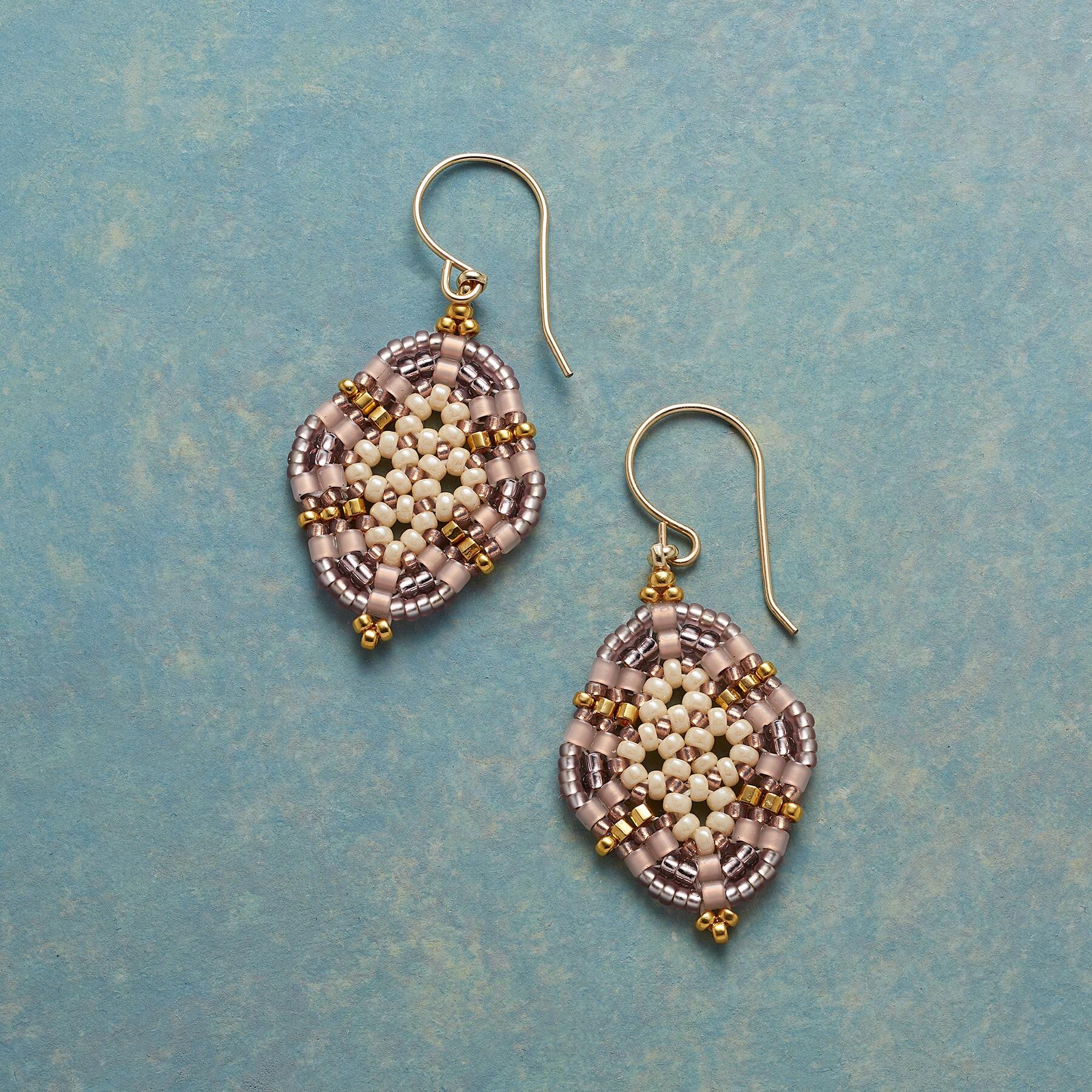 Lustrous Medallion Earrings