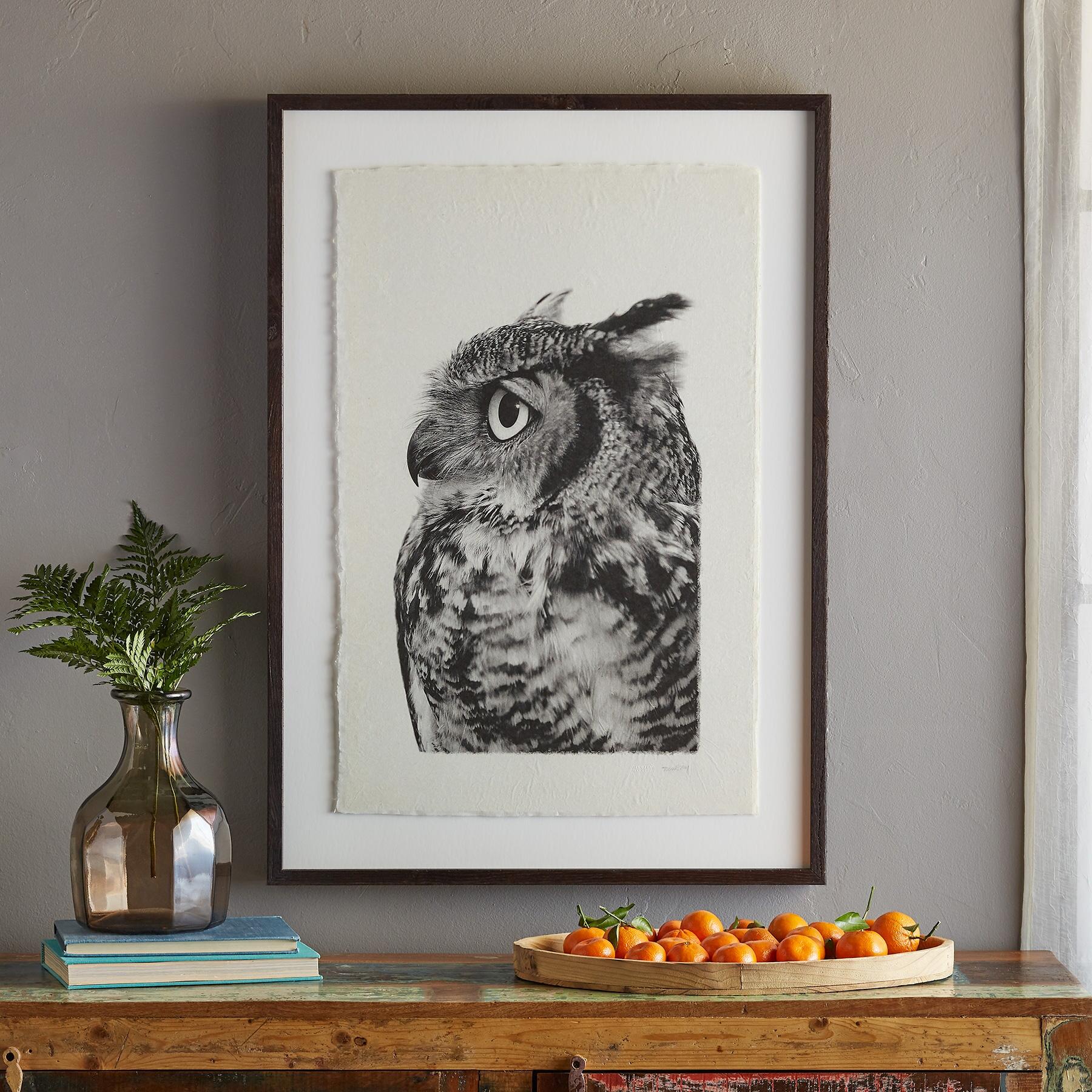Owl Prints