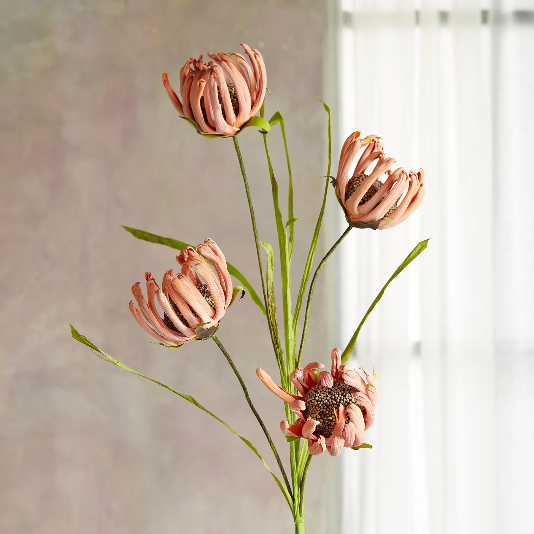 Bountiful Botanicals