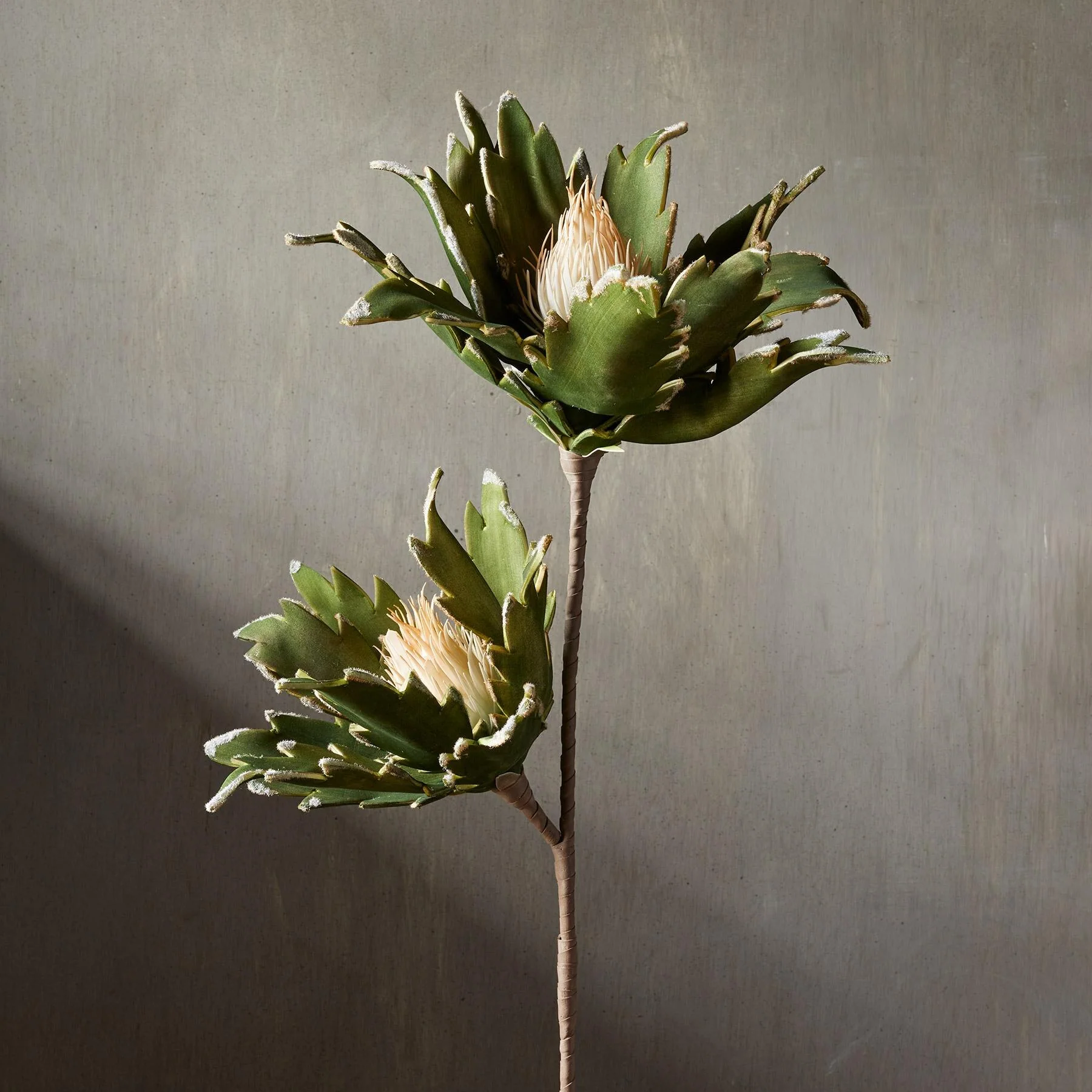 Bountiful Botanicals